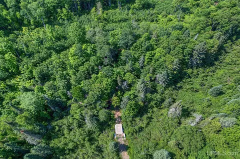 6881 Forest Rd #LOT 4, Marenisco, MI 49947