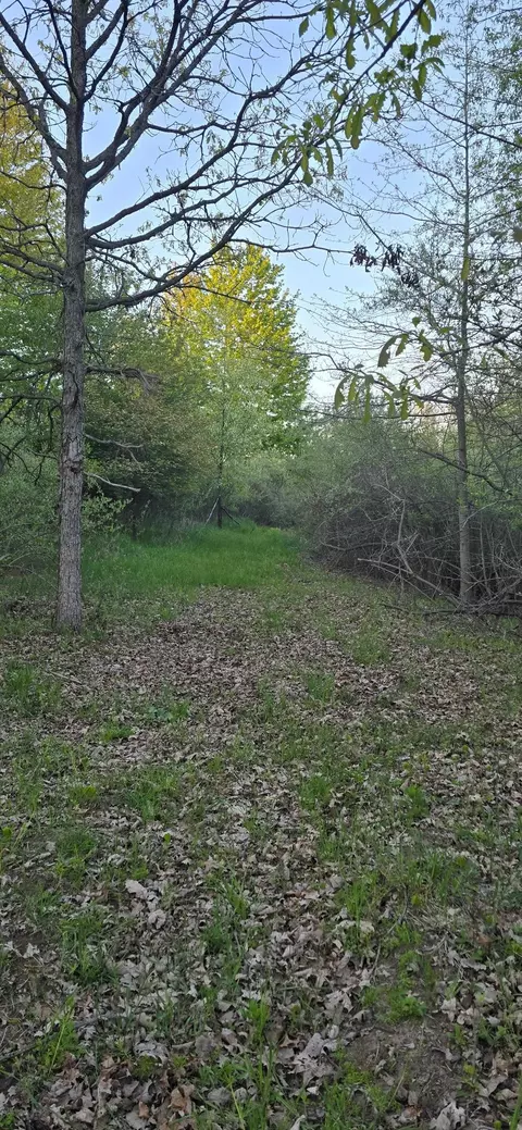 10434 Stevens, Brant, MI 48614