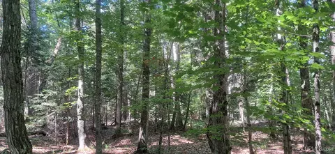 18 7 Acres On Cals, Manistique, MI 49854