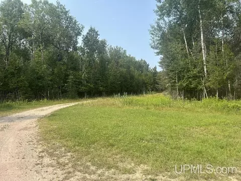 Other - 9450 Co 416, Cornell, MI 49818 photo 8 of 12
