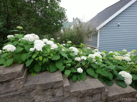 Exterior - 20888 3rd, Hancock, MI 49930 photo 10 of 15