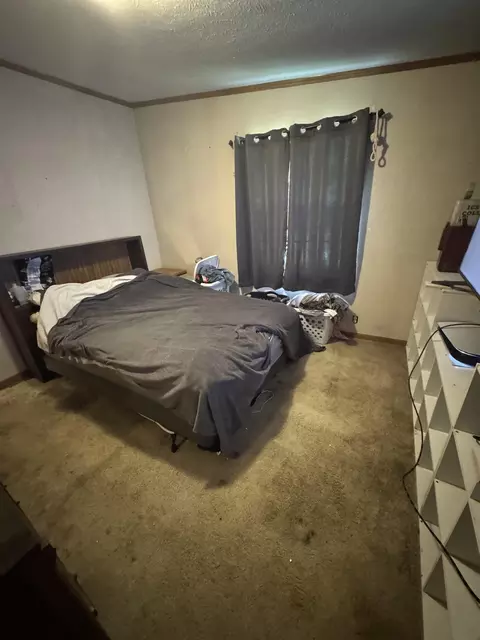 Bedroom - 5239 Turtle, Turner, MI 48765 photo 4 of 4