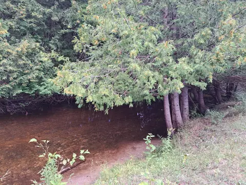 Other - 401 Mill, Farwell, MI 48622 photo 5 of 5