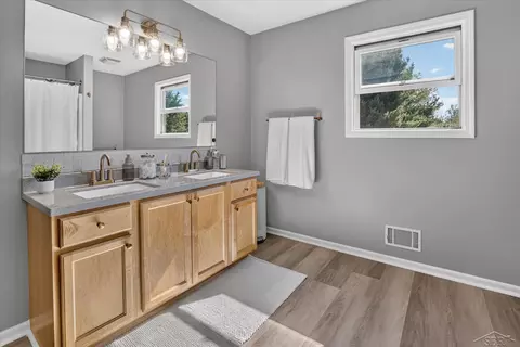 Bath - 11256 E Millbrook, Shepherd, MI 48883 photo 3 of 6