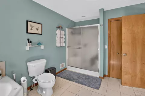 Bath - 11256 E Millbrook, Shepherd, MI 48883 photo 6 of 6