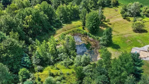 View/Area - 11256 E Millbrook, Shepherd, MI 48883 photo 1 of 9