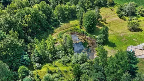 View/Area - 11256 E Millbrook, Shepherd, MI 48883 photo 1 of 9