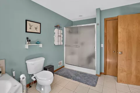 Bath - 11256 E Millbrook, Shepherd, MI 48883 photo 6 of 6