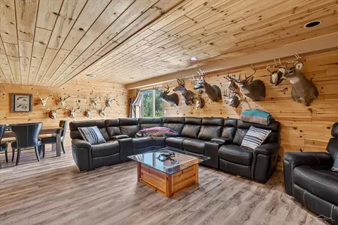 Living - 11256 E Millbrook, Shepherd, MI 48883 photo 4 of 5