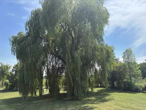 Exterior - 3600 Schmidt, Gladwin, MI 48624 photo 7 of 16