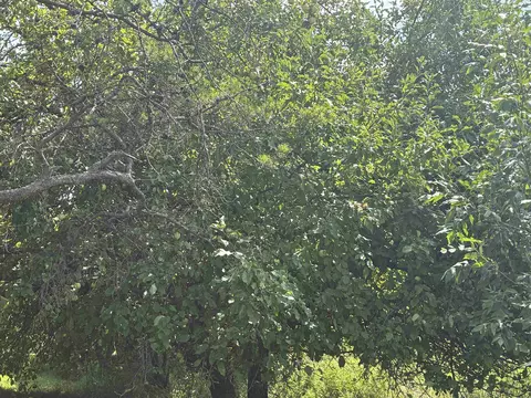 Exterior - 3600 Schmidt, Gladwin, MI 48624 photo 10 of 16