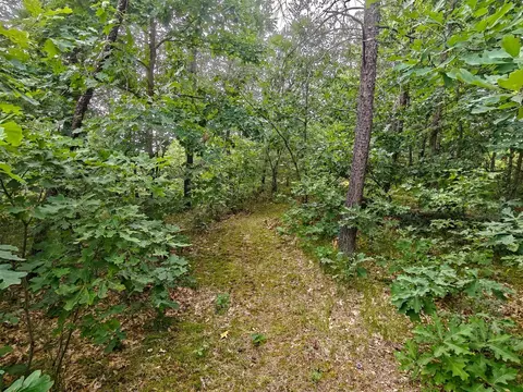 Other - 204 206 208 Forest Mead, Harrison, MI 48625 photo 6 of 7