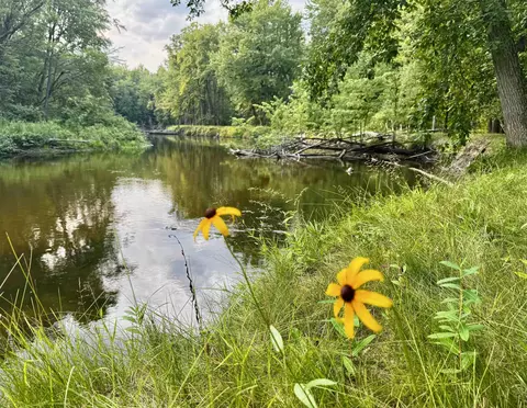 View/Area - 9625 Doe, Harrison, MI 48625 photo 1 of 4
