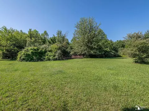 Exterior - 12347 S Custer, Dundee, MI 48131 photo 6 of 11