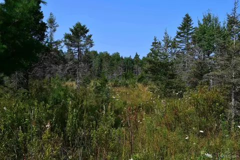 7618 Cr 511, Rapid River, MI 49878 photo 9