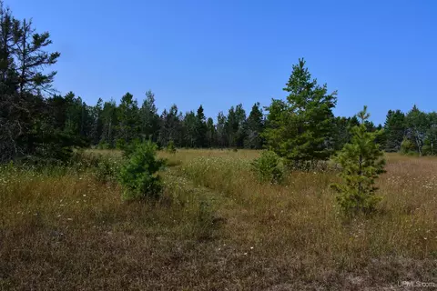 7618 Cr 511, Rapid River, MI 49878 photo 21