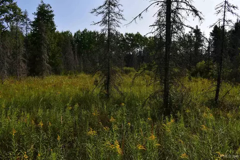 7618 Cr 511, Rapid River, MI 49878 photo 10
