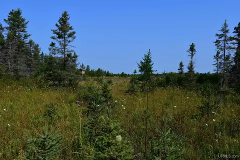 7618 Cr 511, Rapid River, MI 49878 photo 15