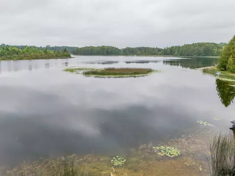 View/Area - 5889 Raymond, Gladwin, MI 48624 photo 2 of 7