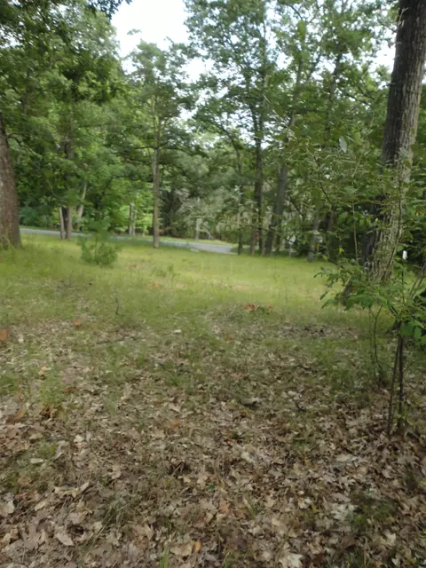 1330 Bringold Ave, Harrison, MI 48625 photo 8