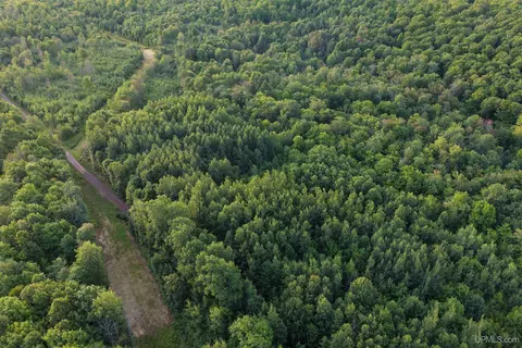tbd Strangle, Bruce Crossing, MI 49912 photo 5