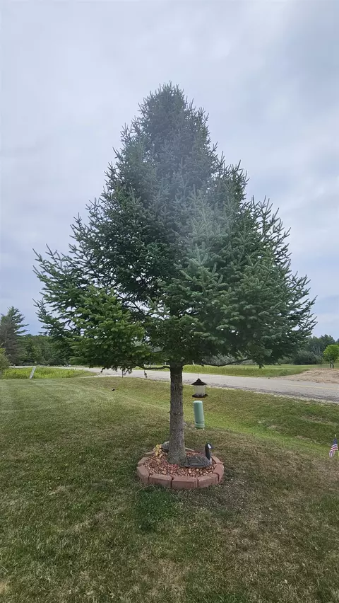 Exterior - 5453 Darby, Gladwin, MI 48624 photo 14 of 16