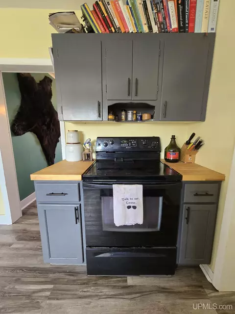 Kitchen - 329 Cedar, Ishpeming, MI 49849 photo 2 of 3