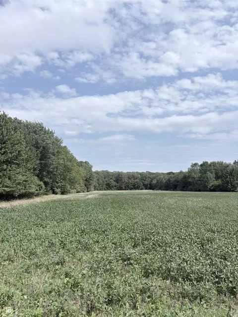 000 Palms, Columbus, MI 48063