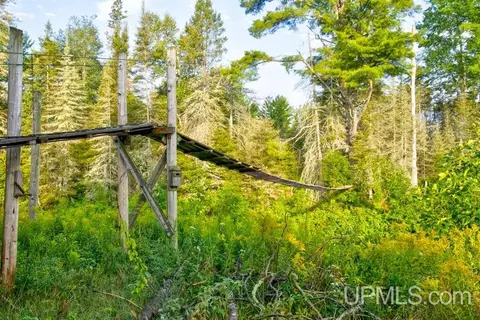 64 83 A Off S15, Rapid River, MI 49878 photo 5