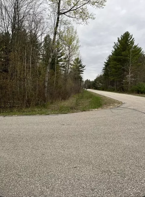 0 Beech, Gladwin, MI 48624 photo 2