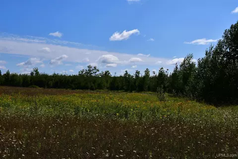 tbd 20 Ac- 26th, Brampton, MI 49837 photo 9