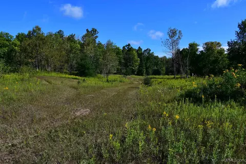 tbd 20 Ac- 26th, Brampton, MI 49837 photo 5