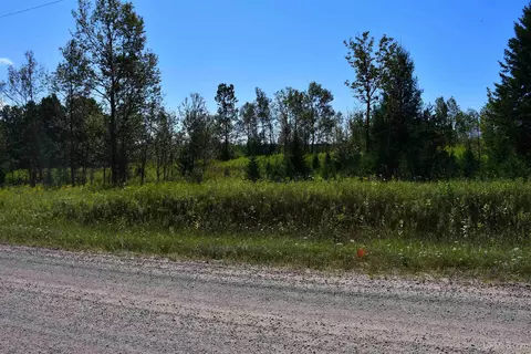 tbd 20 Ac- 26th, Brampton, MI 49837 photo 3