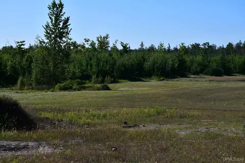 tbd 20 Ac- 26th, Brampton, MI 49837 photo 8