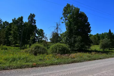 tbd 20 Ac- 26th, Brampton, MI 49837 photo 20