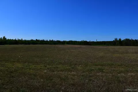 tbd 20 Ac- 26th, Brampton, MI 49837 photo 11