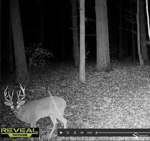 Other - 38850 Barth, Romulus, MI 48174 photo 9 of 12