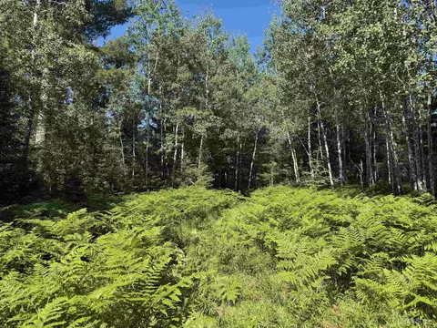 35 Acres Off County Rd Co, Ishpeming, MI 49849 photo 13