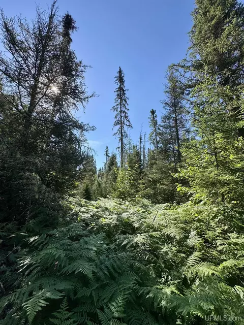 35 Acres Off County Rd Co, Ishpeming, MI 49849 photo 25