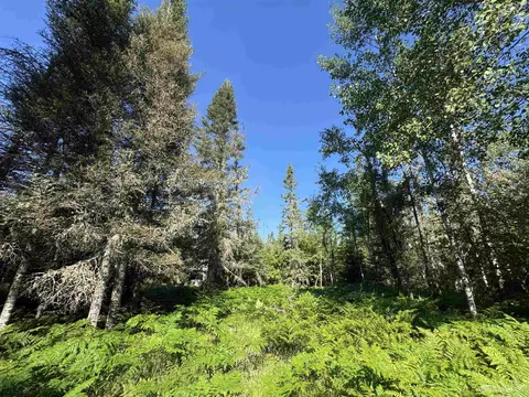 35 Acres Off County Rd Co, Ishpeming, MI 49849 photo 12