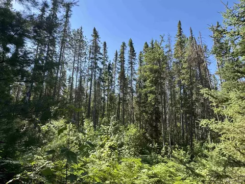 35 Acres Off County Rd Co, Ishpeming, MI 49849 photo 27