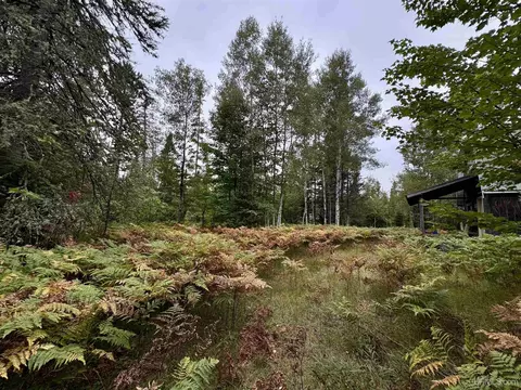 35 Acres Off County Rd Co, Ishpeming, MI 49849 photo 3