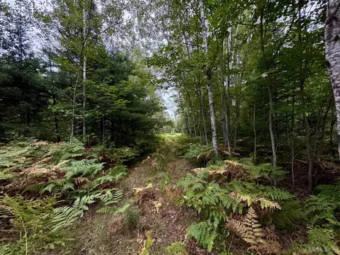 35 Acres Off County Rd Co, Ishpeming, MI 49849 photo 6