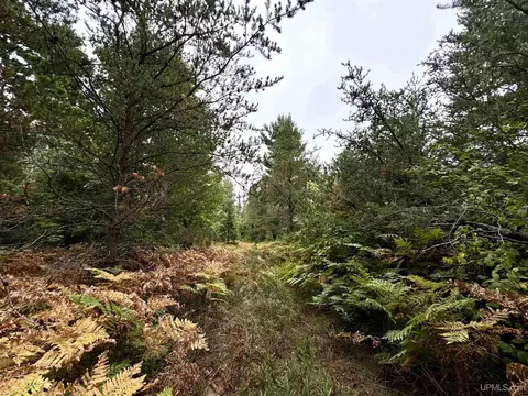 35 Acres Off County Rd Co, Ishpeming, MI 49849 photo 5