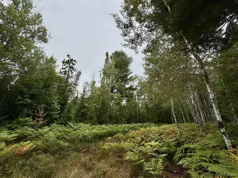 35 Acres Off County Rd Co, Ishpeming, MI 49849 photo 7