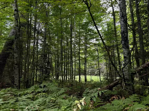 35 Acres Off County Rd Co, Ishpeming, MI 49849 photo 11