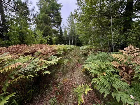 35 Acres Off County Rd Co, Ishpeming, MI 49849 photo 4