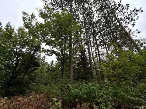 35 Acres Off County Rd Co, Ishpeming, MI 49849 photo 10