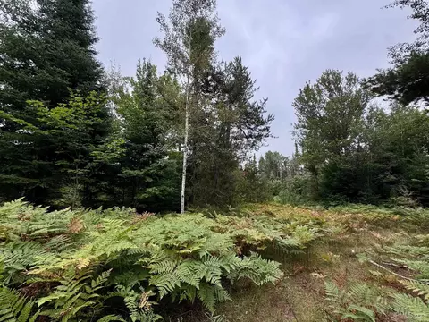 35 Acres Off County Rd Co, Ishpeming, MI 49849 photo 8