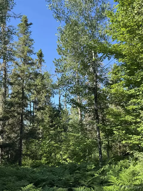 35 Acres Off County Rd Co, Ishpeming, MI 49849 photo 24